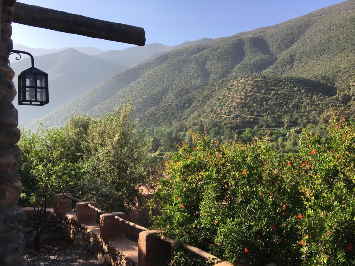 Kasbah Africa Bed & Breakfast Ouirgane Dış mekan fotoğraf