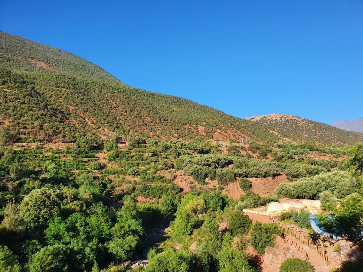 Kasbah Africa Bed & Breakfast Ouirgane Dış mekan fotoğraf