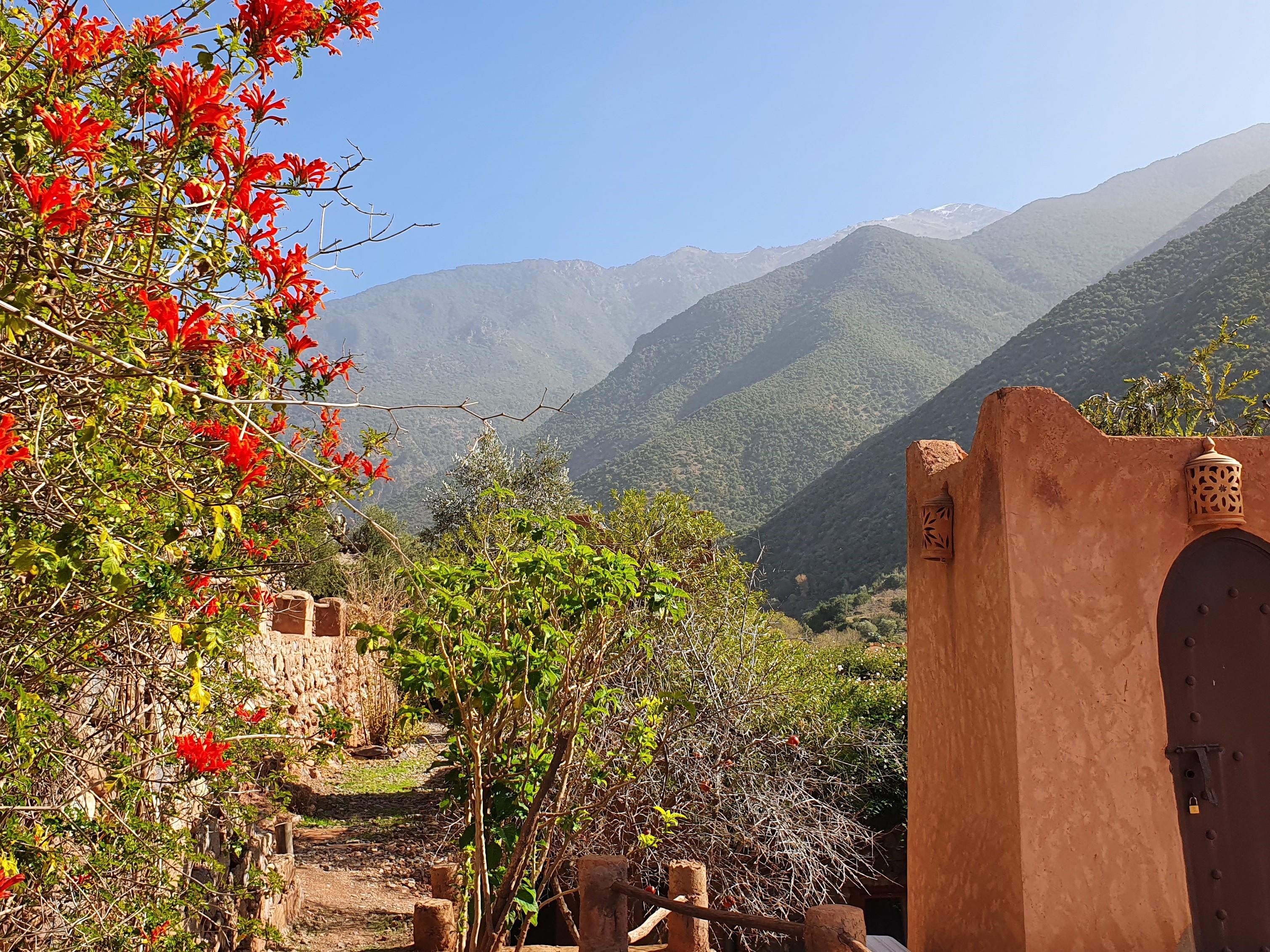Kasbah Africa Bed & Breakfast Ouirgane Dış mekan fotoğraf