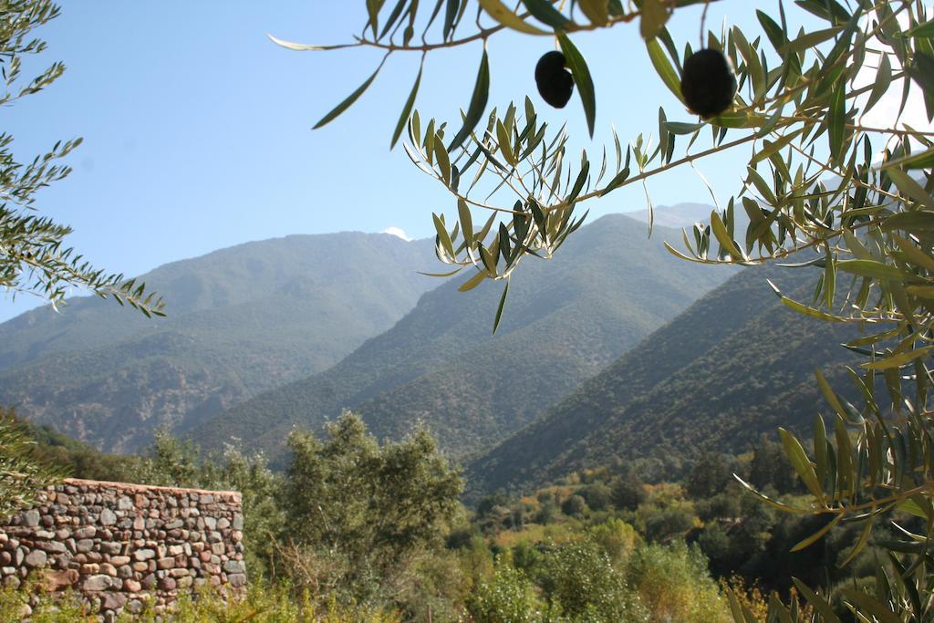 Kasbah Africa Bed & Breakfast Ouirgane Dış mekan fotoğraf